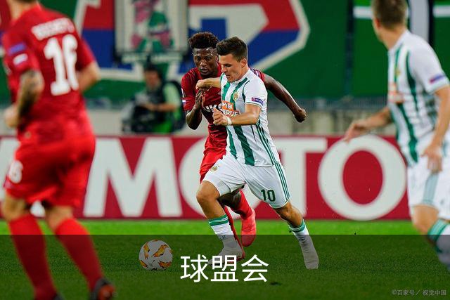 球盟会公司简介图片